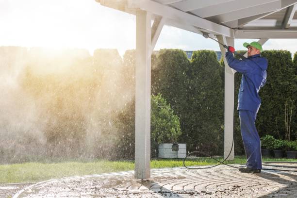Best Sidewalk and Walkway Pressure Cleaning in Doniphan, MO